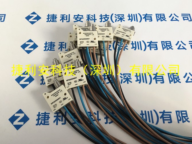 MP320MAM07-02黃字.JPG